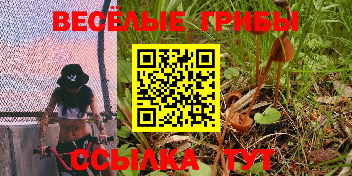 Галлюциногенные грибы Cubensis Мурманск