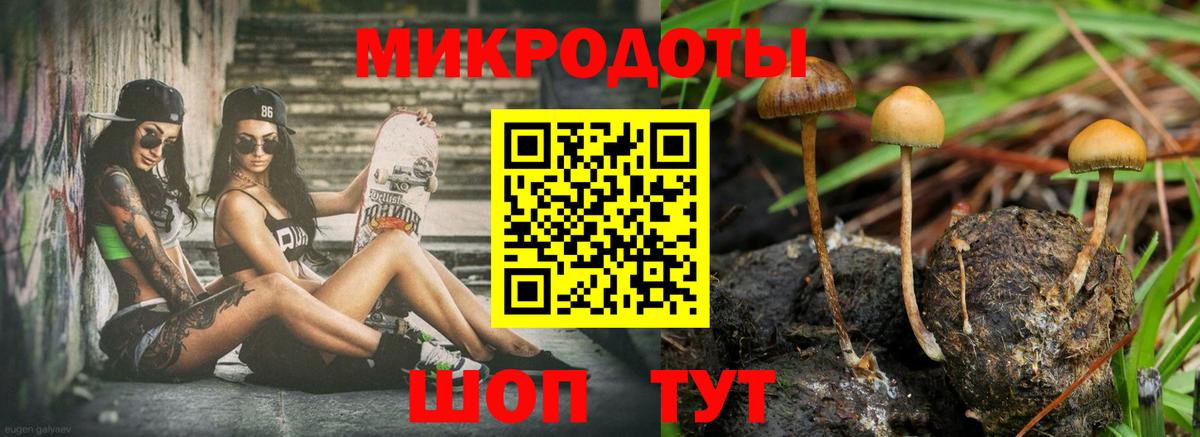 Мурманск  Псилоцибиновые грибы GOLDEN TEACHER  даркнет сайт  Вход с VPN 