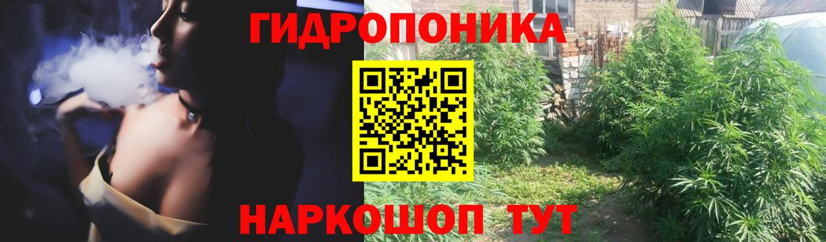 Мурманск  Шишки марихуана семена  Каннабис гибрид  Бошки марихуана сатива  Канабис AK-47  Вход с VPN 